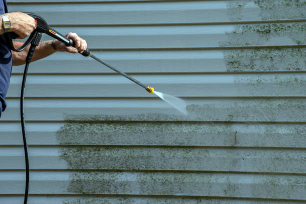 Best Gutter Cleaning  in Brownsville, FL